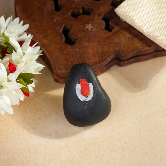 Sri Rudra Salagramam Stone