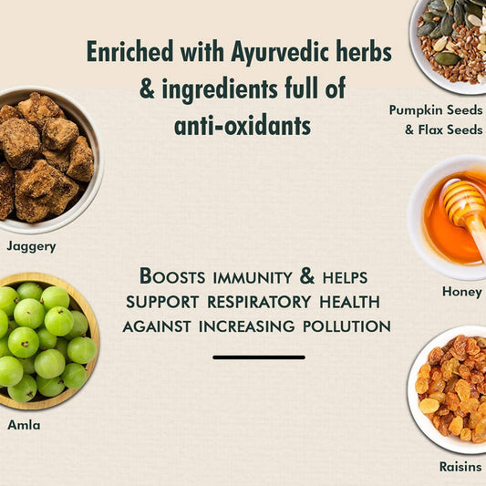 Baidyanath Vansaar Ayuprash Immunity Booster - 500 gm