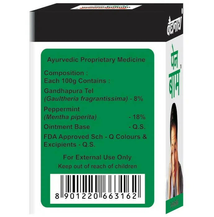 Baidyanath Nagpur Pain Relief Balm - 10 gm