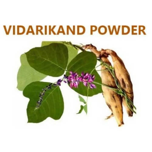 Himalaya Vidarikand Powder - 100 gm