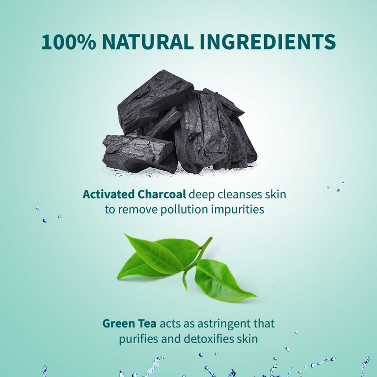 Himalaya Herbals Pollution Detox Charcoal Face Pack - 50 gm