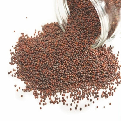 FreshOn Mustard Seeds Small (Natural) - 100 Gm