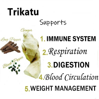 Himalaya Wellness Pure Herbs Trikatu Digestive Wellness - Pack of 1 - 60 tabs