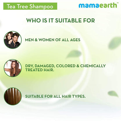 Mamaearth Tea Tree Shampoo & Onion Hair Oil - combo