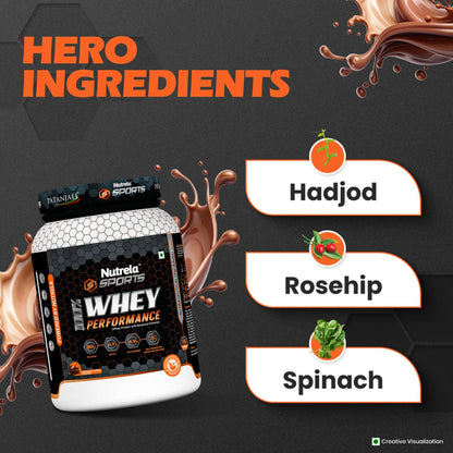 Patanjali Nutrela Sports Whey Performance (Choc-irish) - 1 kg