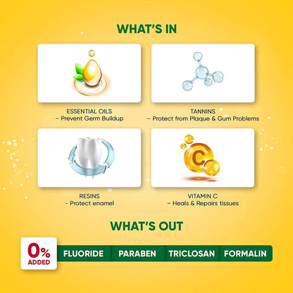 Dabur Meswak Toothpaste - 100 gm