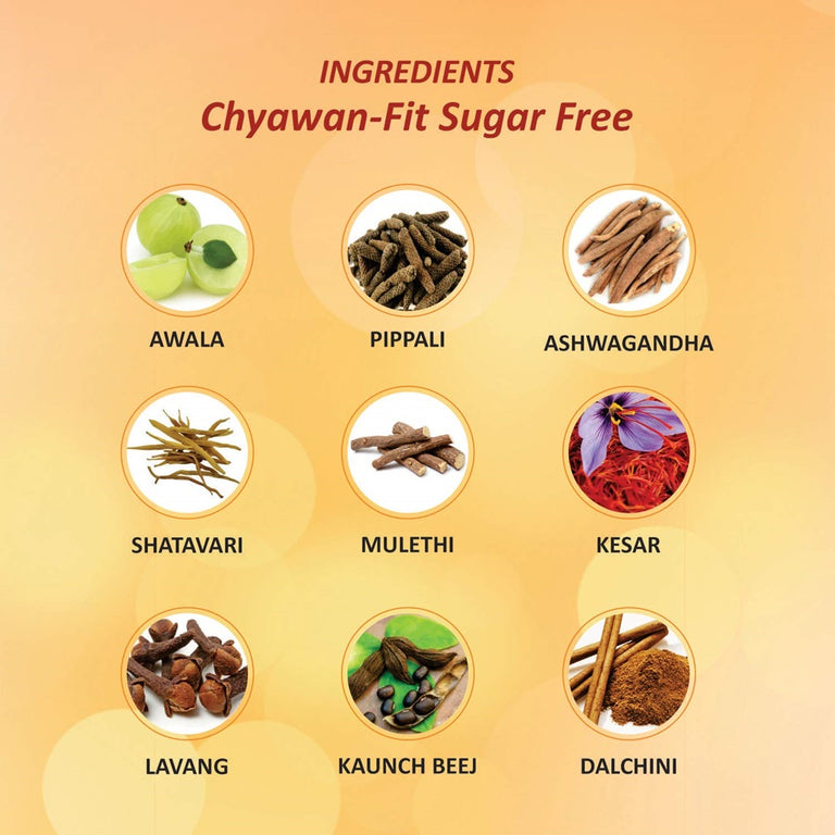 Baidyanath Chyawan-Fit Sugarfree - 500 gm