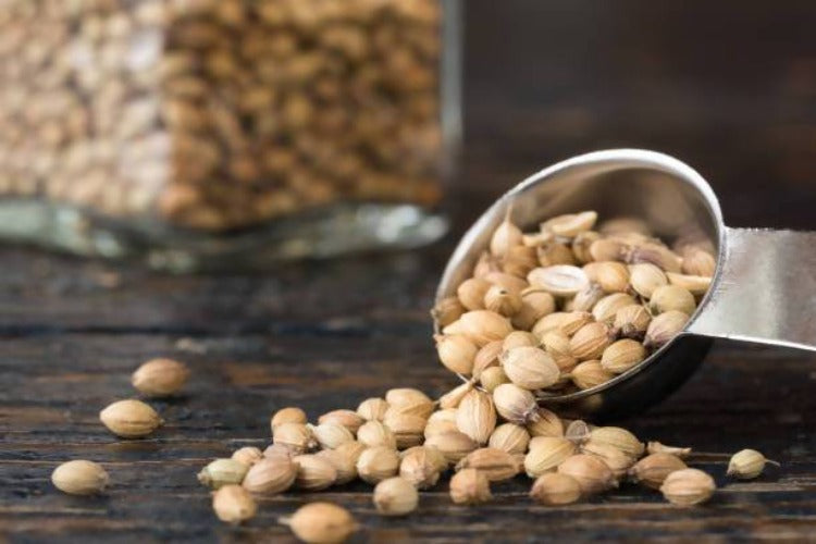 Freshon Coriander Whole Premium - 100 gm
