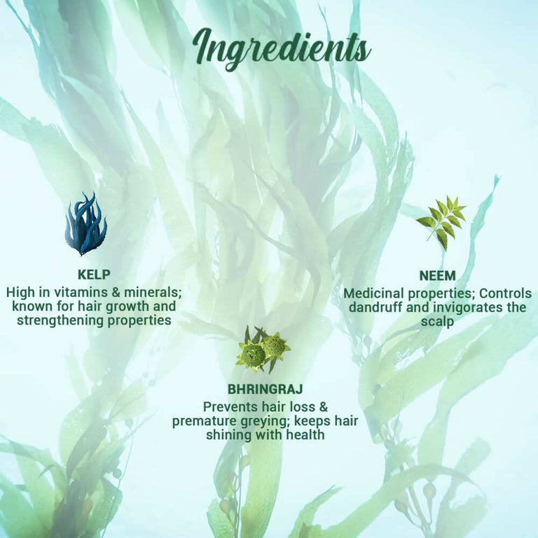 Biotique Ocean Kelp Anti Hair Fall Shampoo - 120 ml