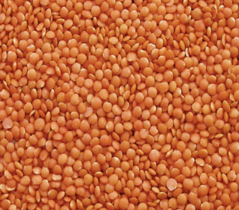 Weefa Organic Healthy Pulses Red Masoor Dal - 500 gm