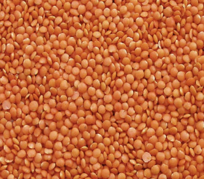 Weefa Organic Healthy Pulses Red Masoor Dal - 500 gm