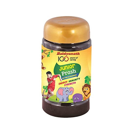 Baidyanath Junior Prash - 500 gm