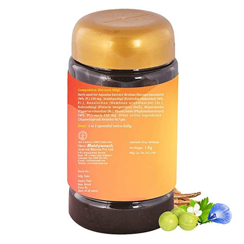 Baidyanath Junior Prash - 500 gm