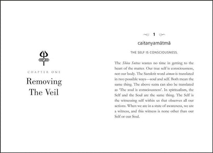The Shiva Sutras By Ranjit Chaudhri - English - Paperback