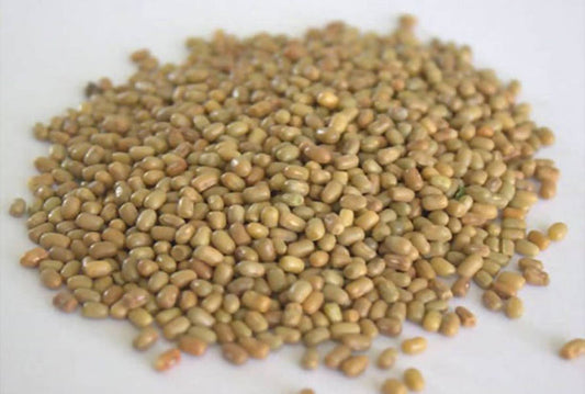 Freshon Natural Madike Kalu - 500 Gm