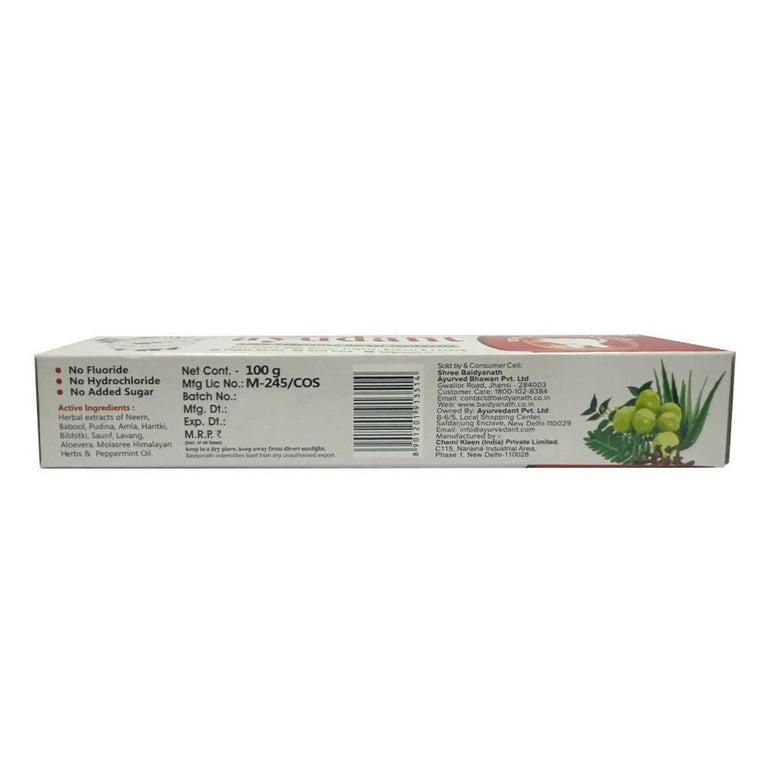 Baidyanath Jhansi Ayurvedant Ayudant Toothpaste - 100 gm
