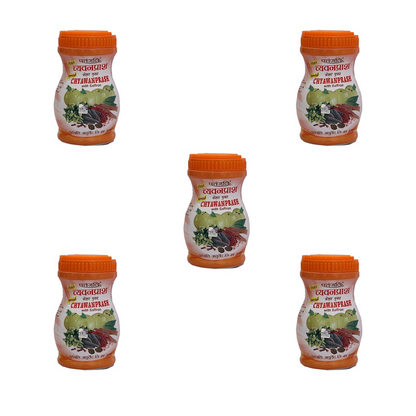 Patanjali Special Chyawanprash - 500 gm - Pack of 1