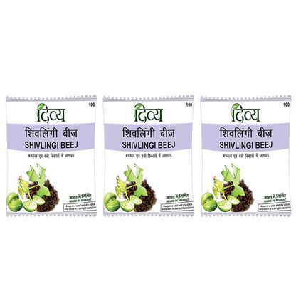 Patanjali Divya Shivlingi Beej - 100 gm - Pack of 1