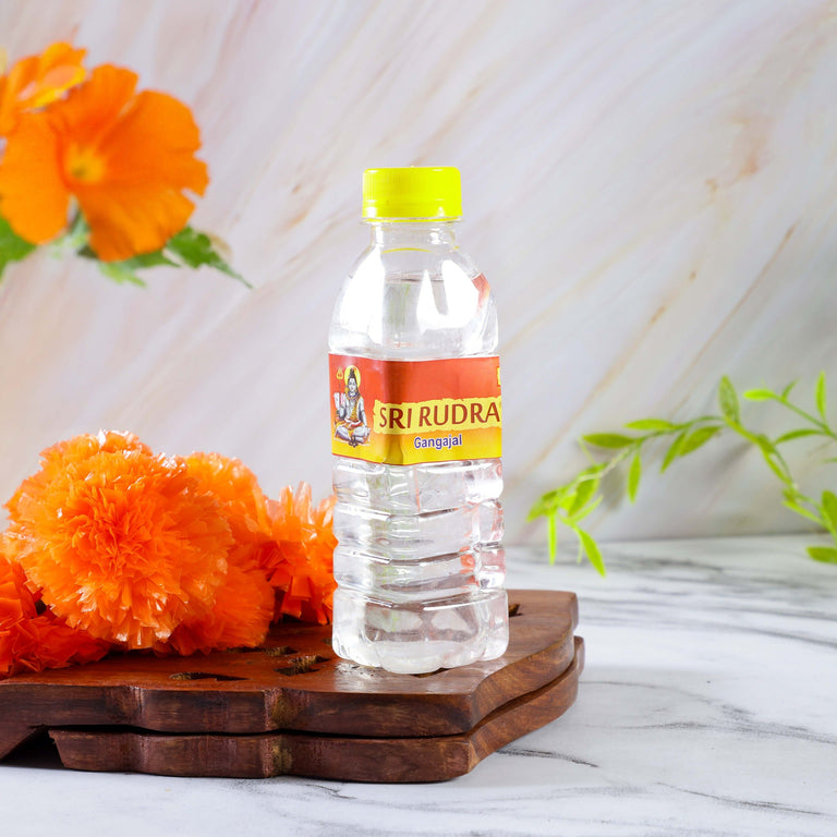 Sri Rudra Gangajal 200ml (SR 03449) - 100 ml - Pack of 5