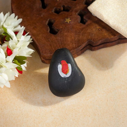 Sri Rudra Salagramam Stone