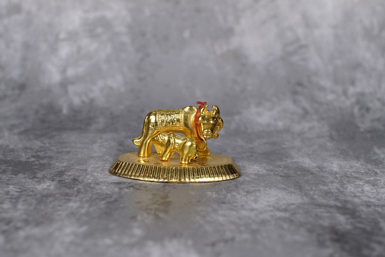 Sri Rudra Cow - Pack of 2