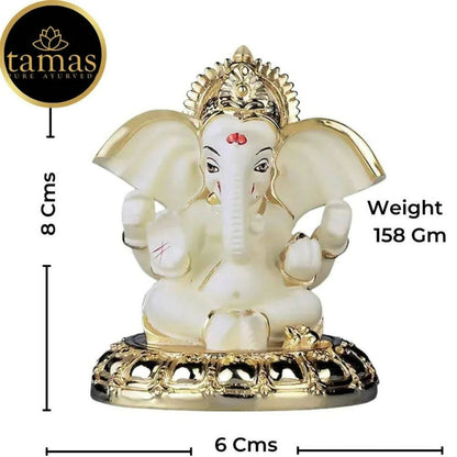 Tamas Gold-Polished Gaj Karna Ganesh Idol Off White & Gold Color - 158 gm