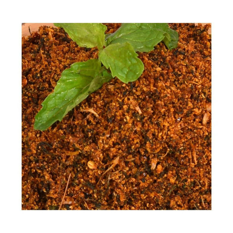 Amoga's Pickles Factory Mint Leaves Karam Podi - 250 gm