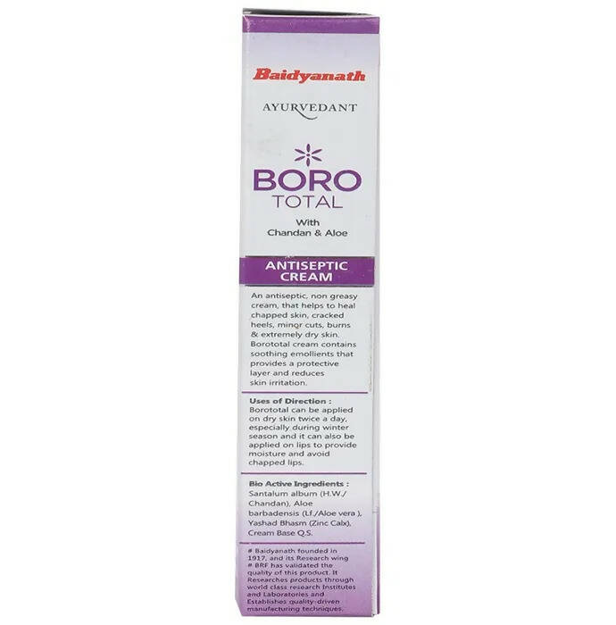 Baidyanath Jhansi Ayurvedant Boro Total Antiseptic Cream - 20 ml