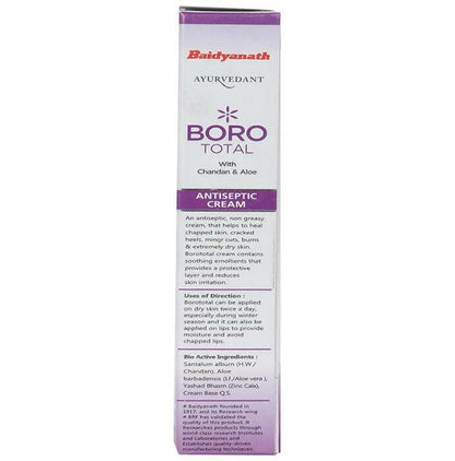 Baidyanath Jhansi Ayurvedant Boro Total Antiseptic Cream - 20 ml