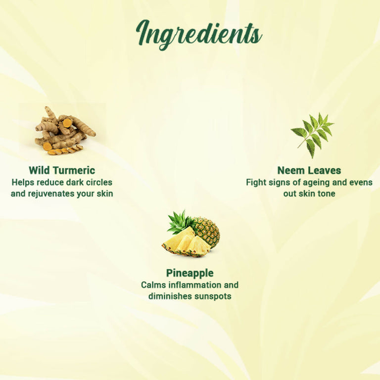 Biotique Bio Pineapple Oil Control Foaming Face Wash - 100 ml