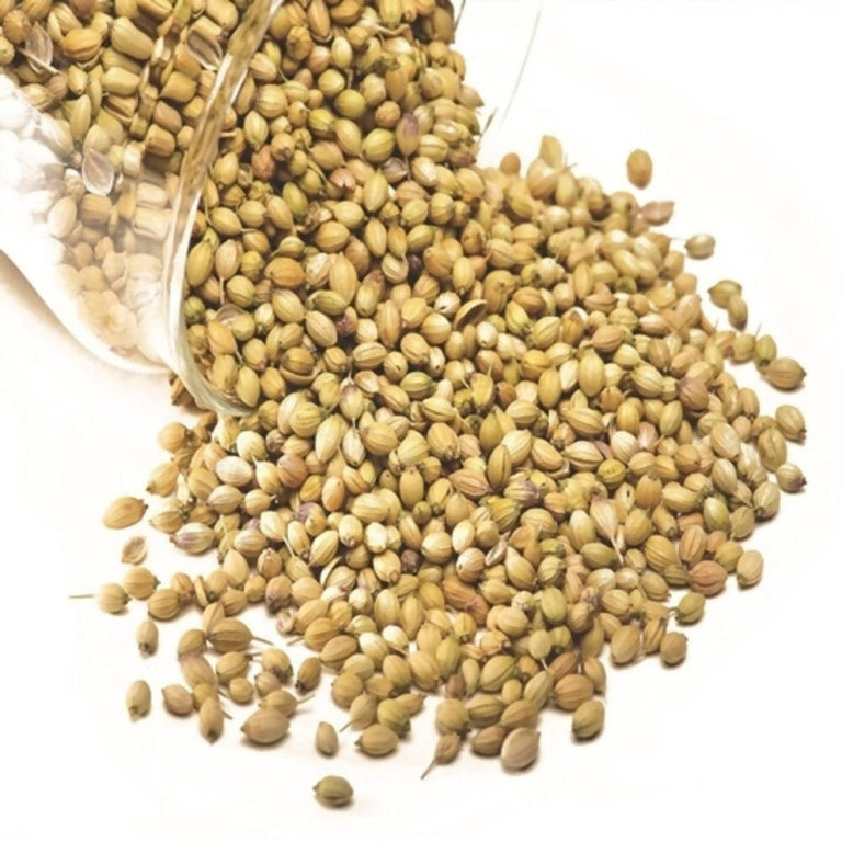Freshon Coriander Whole Premium - 100 gm