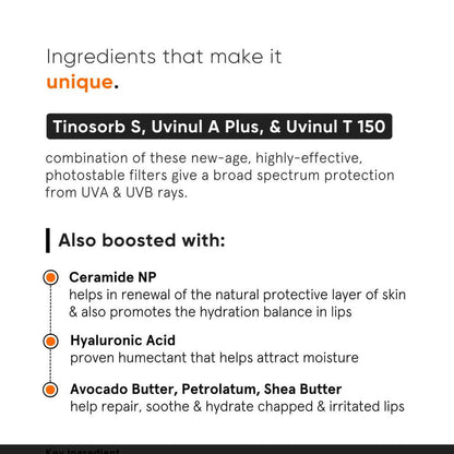 Minimalist SPF 30 Lip Balm For Protection & Nourishment - 8 gm