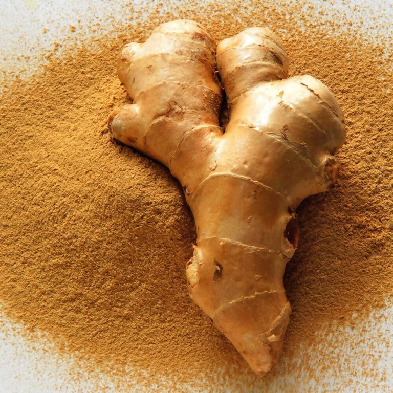 Freshon Dry Ginger Powder - 100 gm