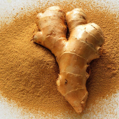 Freshon Dry Ginger Powder - 100 gm