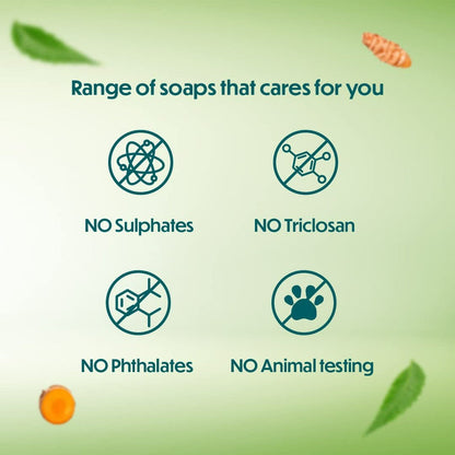 Himalaya Herbals Neem and Turmeric Soap - 75 gm - Pack of 1