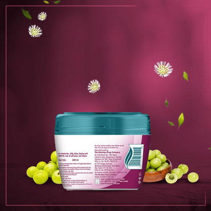 Himalaya Herbals Anti Hair Fall Cream - 100 ml