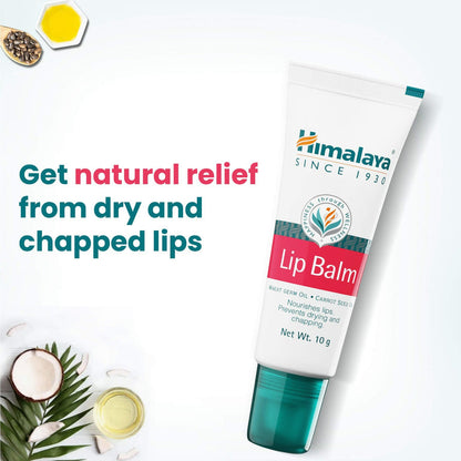 Himalaya Herbals Lip Balm - 5 gm