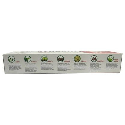 Baidyanath Jhansi Ayurvedant Ayudant Toothpaste - 100 gm
