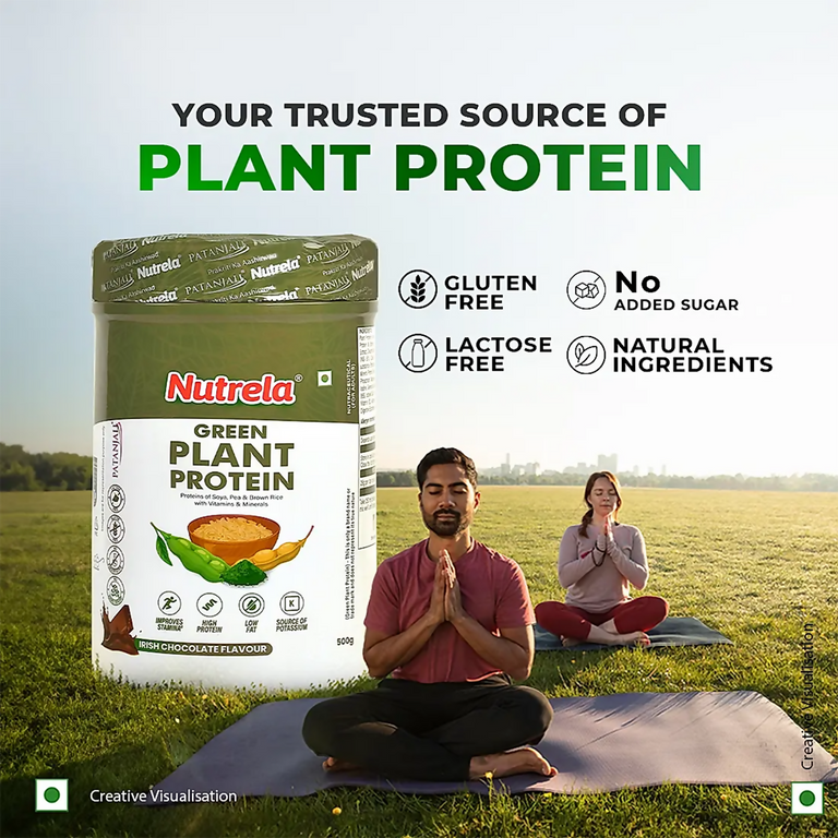 Patanjali Nutrela Green Plant Protein Chocolate Flavour - 500 gm