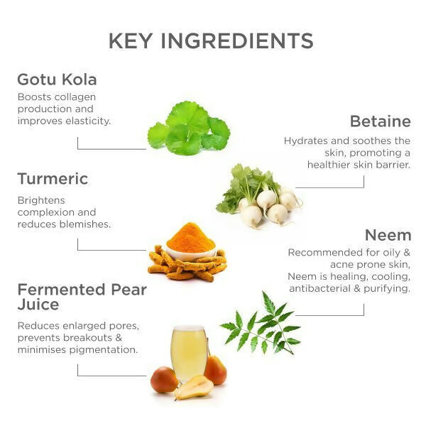 Forest Essentials Balancing Night Cream with Gotu Kola, Neem & Pear Juice Ferment - 50 gm