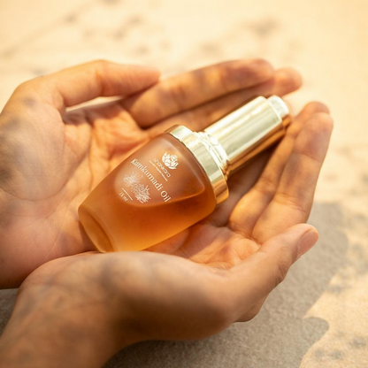 Shankara by Sri Sri Tattva Absolute Radiance Kit - Kit