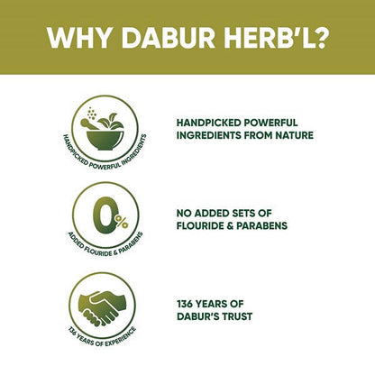 Dabur Herb'l Neem Germ Protection Complete Care Toothpaste - 200 gm