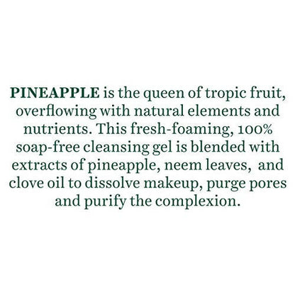Biotique Advanced Ayurveda Bio Pineapple Oil Control Foaming Face Cleanser - 120 ml