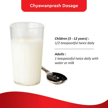 Baidyanath Jhansi Chyawanprash Special - 250 gm