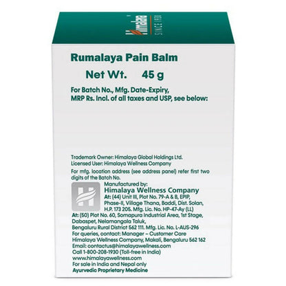 Himalaya Herbals Rumalaya Pain Balm - 45 gm